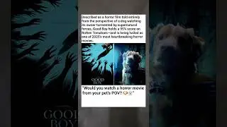 Good Boy (2025): The Horror Movie Told ENTIRELY From a Dog&rsquo;s Perspective!