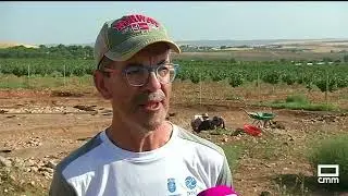 Pasi&oacute;n por el lujo en la necr&oacute;polis de Alarcos