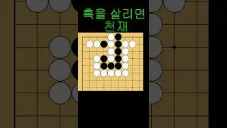 바둑 묘수 사활 - 기똥차게 천재적인 묘수를 찾아보세요. #바둑 #사활 #바둑강좌
