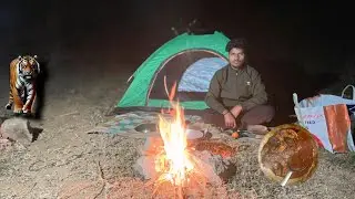 Group Camping In Dangerous Places Camping Vlog Samar Tricks Vlog #Camping #solocamping