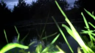 Night fishing Canal  4 Tench