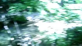 MOV05741