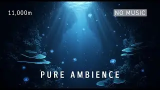 11,000m Below Deep Ocean Ambience No Music &ndash; The Sound of the Abyss