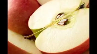Apple Seeds Can Literally Kill You #info20