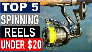 Top 5 Best Spinning Reels Under $20 in 2025