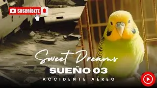 Sweet Dreams / Sue&ntilde;o 03: Accidente a&eacute;reo / Dream 03: Plane crash #global