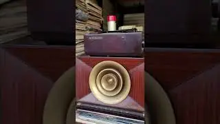 RCA Victor AM Radio Golden Throat 7