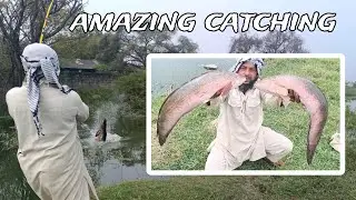 fishing in small lake | fishing for giant snakehead fish | life attack action moment | I can't beli.