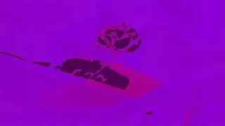 Hoodrich Pablo Juan - FDO (&yen;&pound;$ Video Rmx)