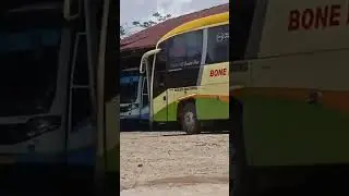 Kegarasi bus bone indah jaya cuyy #busmania