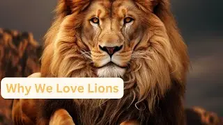 Eternal Majesty: Unveiling Our Endless Fascination with Lions