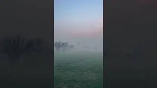 #winter #fog #foggy #punjab #panjabi #punjabi #panjab #pind #villagelife  #landscapephotography