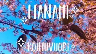 Hanami Roihuvuori 2017