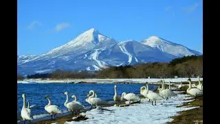 福島の風(福島県)／生成AIユーロビート