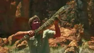 Steve Irwin Tribute