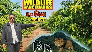 આ ગિર ની જમીન માટે માલિક નો સંપર્ક 👉☎️9726158992  