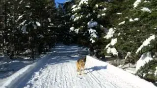 26 novembre 2013 Alpe Paione