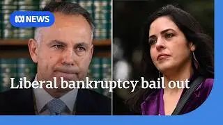 Pesutto loaned $1.5m by party to avoid Moira Deeming costs bankruptcy | ABC News