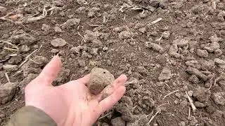 Борона шлейфова ЗГ-6. Враження і пропозиції.