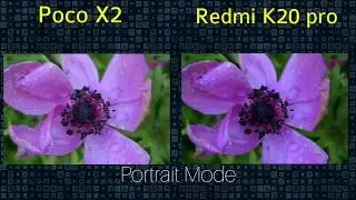Poco X2 vs Redmi K20 Pro Camera Comparison