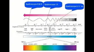 NMR cenni
