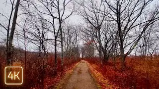 Relaxing Virtual Walk in Biddeford, Maine – Cloudy Timber Point Trail & Coastal Island 4K