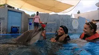 Dolphin Therapy Land ( Ceren )