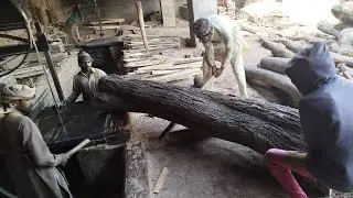 amazing Discovery of wood while sawing teak wood#sawmillbusiness #sawmill #teakwood