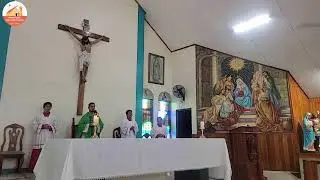 Santa Misa Dominical de la IV Semana del Tiempo Ordinario.