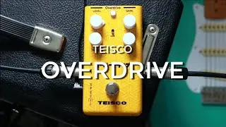 Teisco Overdrive | Do Yourself a Favor and Pick One Up