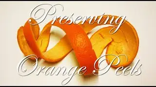 Preserving Orange Peels ~ Dehydrating Orange Peels ~ Zero food Waste