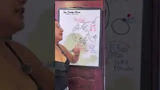 Protocolos de sincronización en el ciclo estral 🐮 Inseminación artificial a termino fijo 🐮