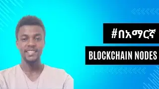 #በአማርኛ How Blockchain Works | Blockchain Nodes