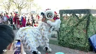 🇺🇸 Tết Của Người Việt Ở Texas Phần 2 / Lion Dance During Tết Festival in Dallas,Texas 🇺🇸