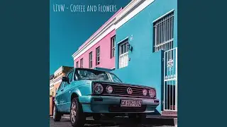 Cat Driver