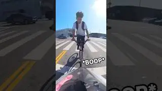 Was I just booped?? 😭