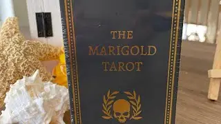 The Marigold Tarot: by Amrit Brar