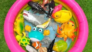 TOY OCEAN FRIENDS LEARNING TIME | LEARN NAMES, SOUNDS FOR LITTLE EXPLORERS