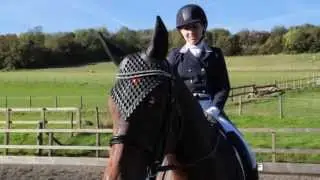 Swarovski Crystal Fly Veil by WOW Saddles