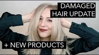 DAMAGED HAIR: new product loves, hair update, aphogee review