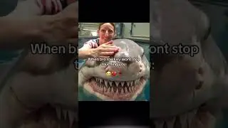 crodie STOP#funny#viral#meme#real#bro#diddy#fyp