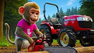 🚜🐒 Mika Monkey Drives a TRACTOR to Save a Mother and Her Kittens from the River, Then Chops Wood! 🌲🐱