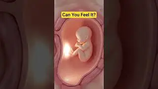 Baby&rsquo;s First Kicks Explained | When Do Pregnant Moms Feel Movement?