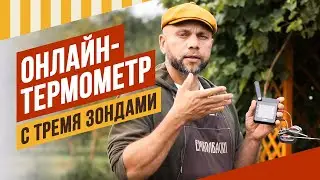 Онлайн Wi-Fi - термометр с двумя термощупами . Достойный подарок любителю гриль и bbq #емколбаски