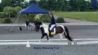 IHSGB British Championships and Summer Festival 2024
