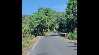 Indian gour animal dakhna ja raha hu😱🧐😳#minivlog #travel #animals #viral #foryou