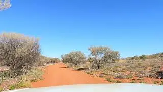 Lambert Centre of Australia Wildflowers