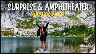 Bear Encounter! Hiking to Surprise and Amphitheater Lakes