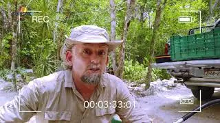 Temp. 4, Cenote Zapote (Puerto Morelos, Q. Roo), Capítulo 2.