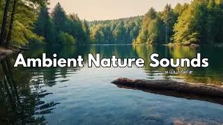 Experience a Dreamy Escape with Ambient Nature Sounds | Soft Guitar & Relaxing Nature Ambience
